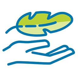 icon of a hand with a feather above it