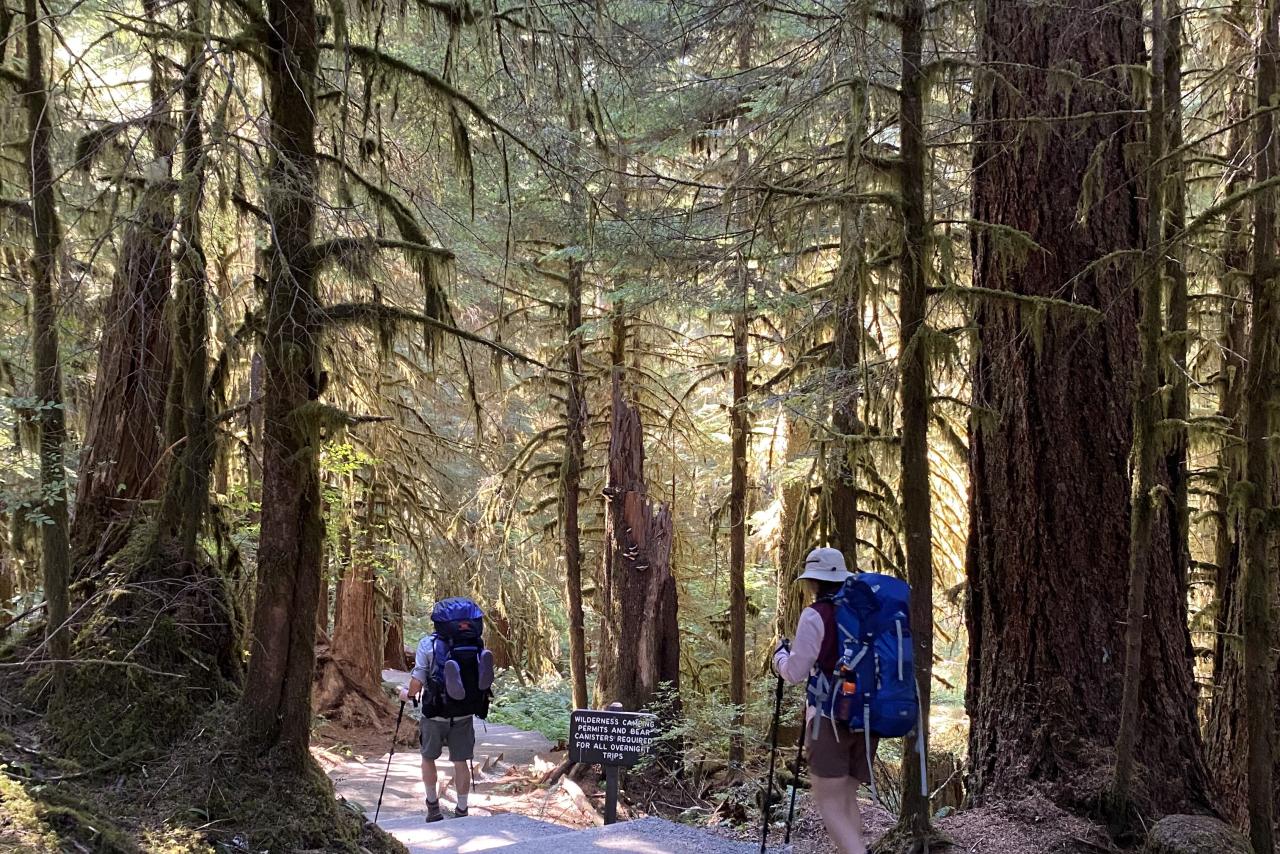 hikers on a trail