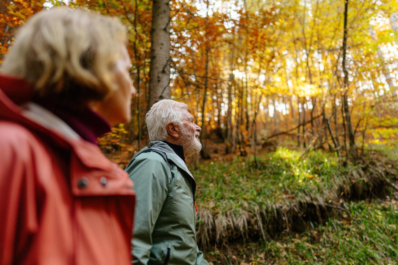 Adults walking in a forest