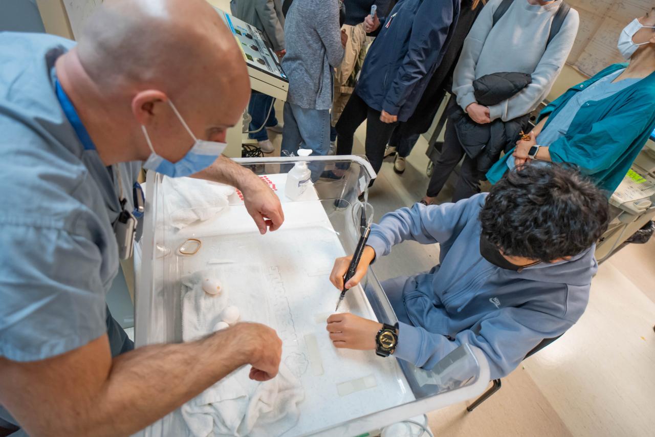 A bone scalpel demonstration station where visitors attempted to remove an eggshell without damaging the internal membrane.