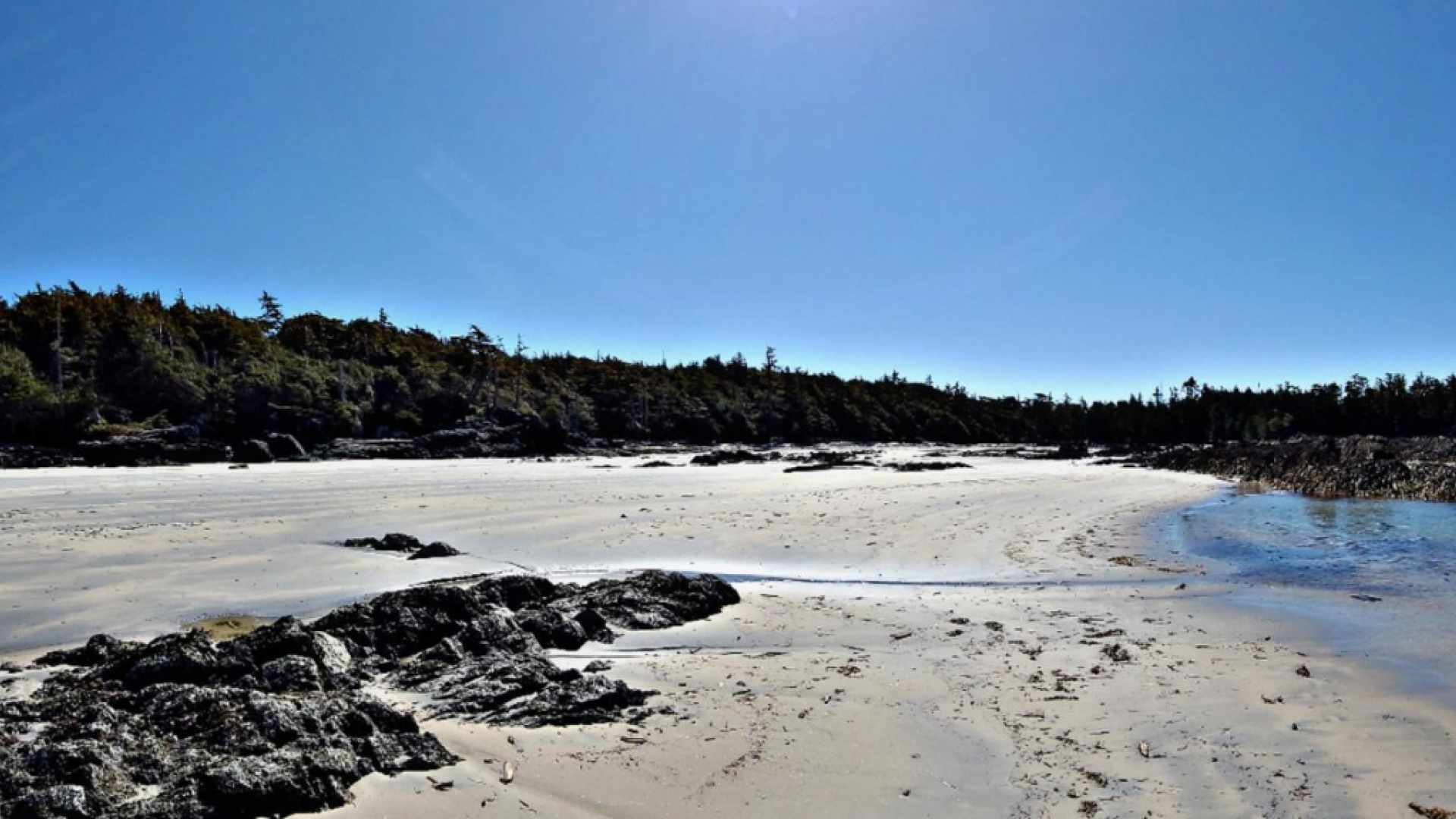 Bella Bella shoreline