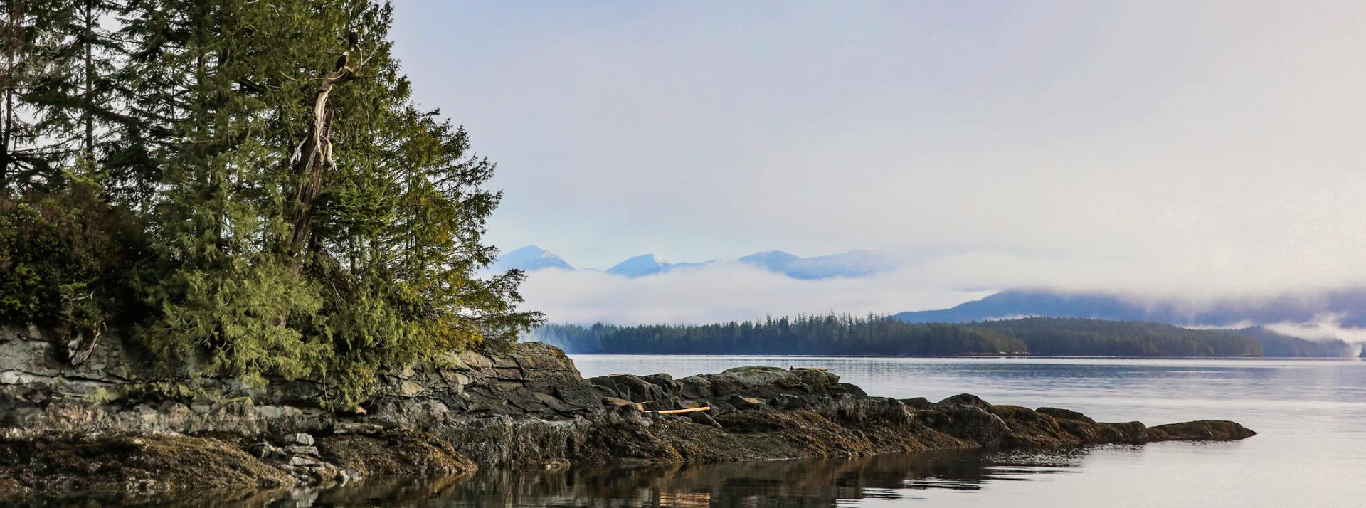 Foggy coastline near Bella Bella