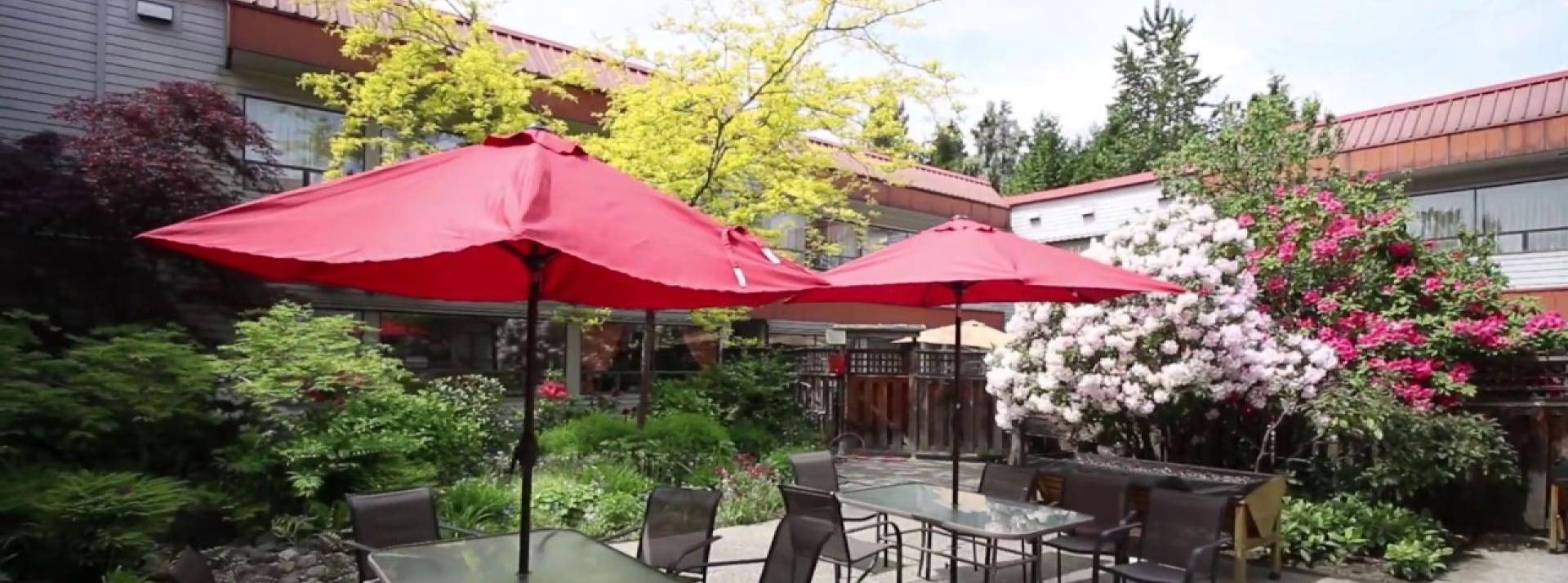 Garden area outside Cedarview Lodge with patio tables