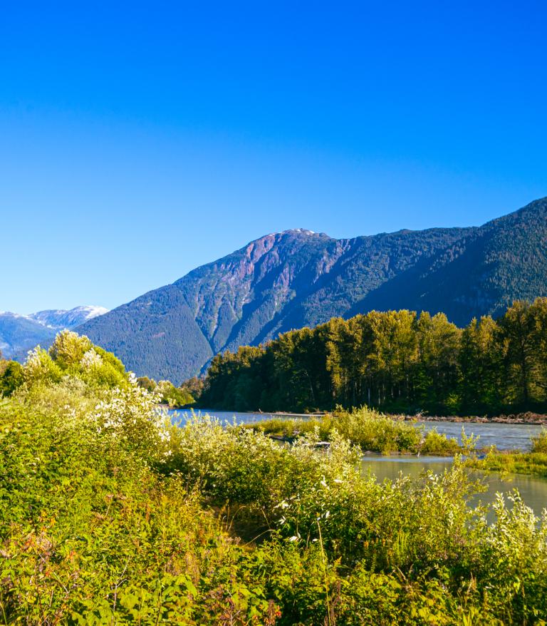Landscape of Bella Coola with mountains in background.