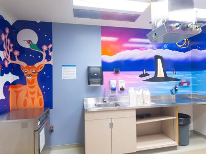 Two indigenous artwork murals on the walls of a medical room of a deer and a pod of orcas