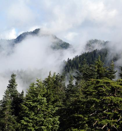 Smoke scattered throughout the mountainside