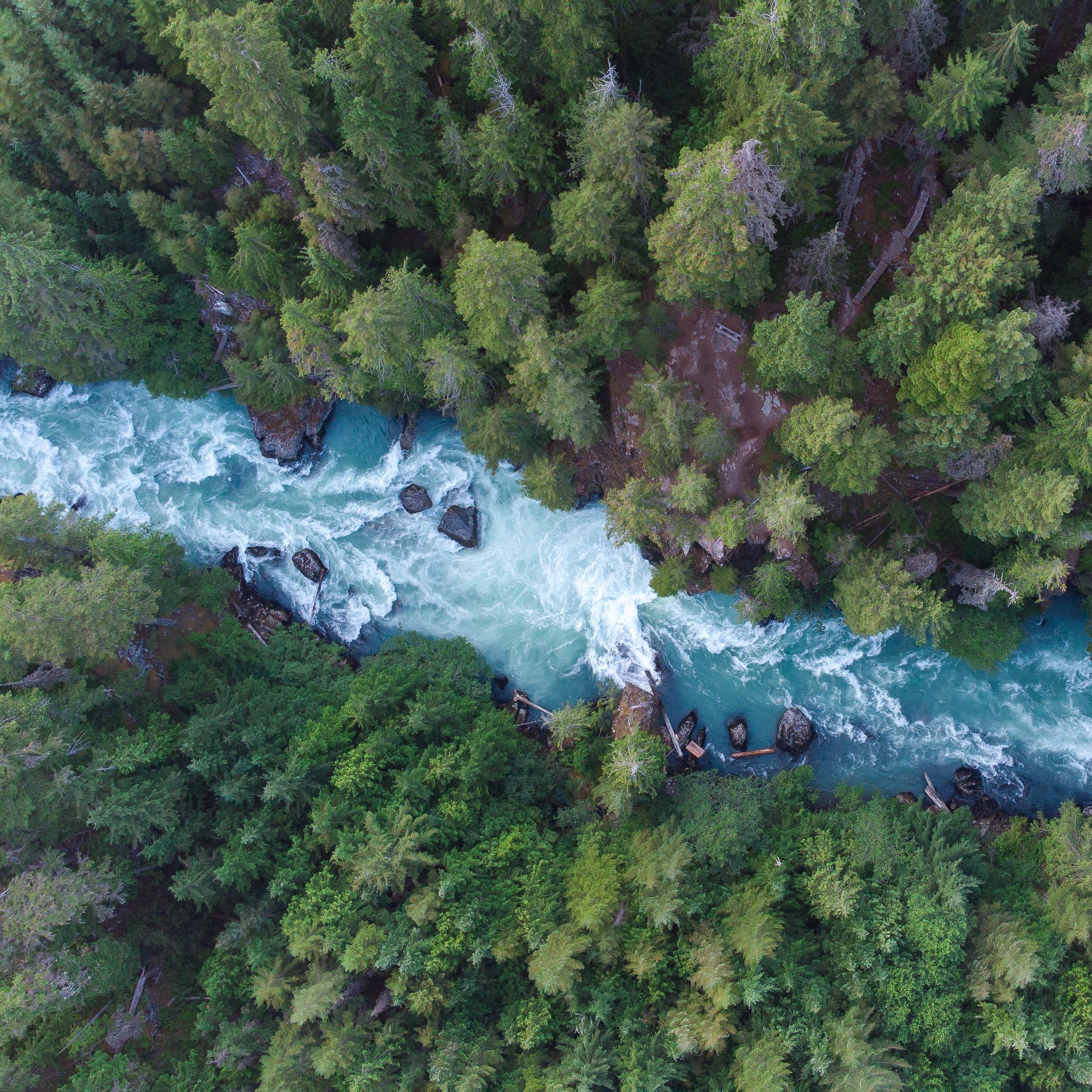 a drone photo from the sky of a winding river in a thick forest